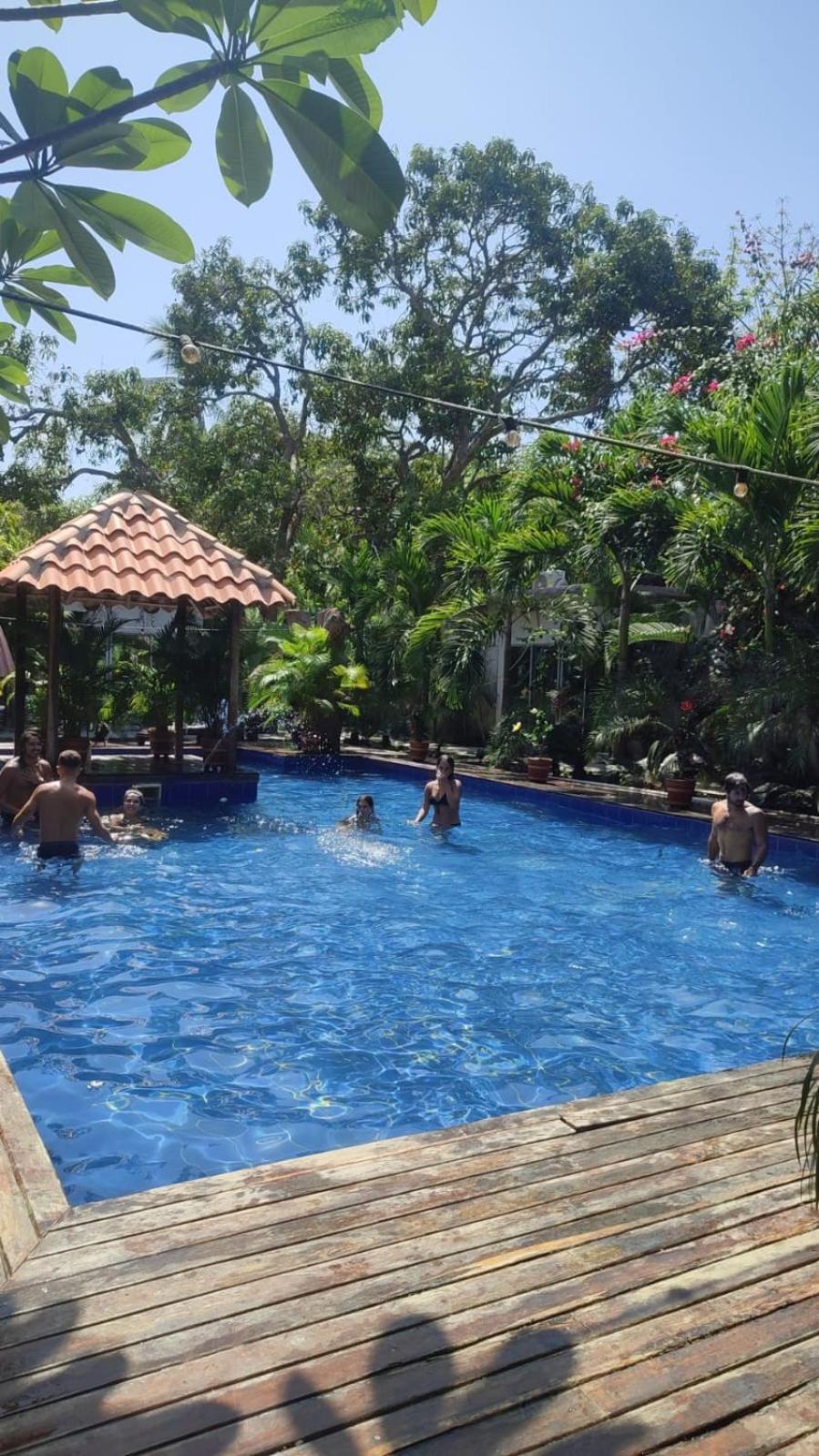 Hilltop Hostal Palomino